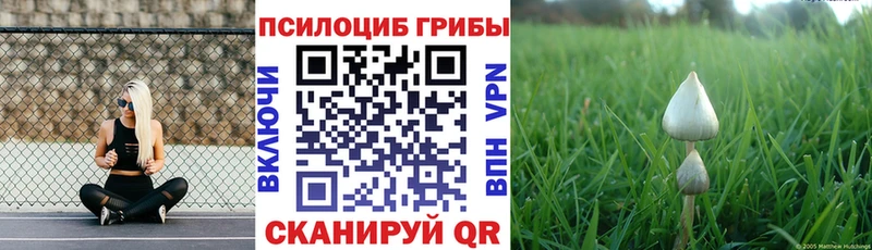 гидра ссылка  Чусовой  Галлюциногенные грибы Psilocybine cubensis 