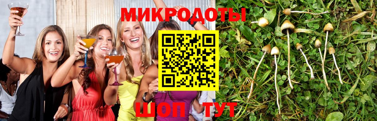 Чусовой  Галлюциногенные грибы Psilocybine cubensis  Вход с VPN  хочу наркоту  Псилоцибиновые грибы Cubensis 